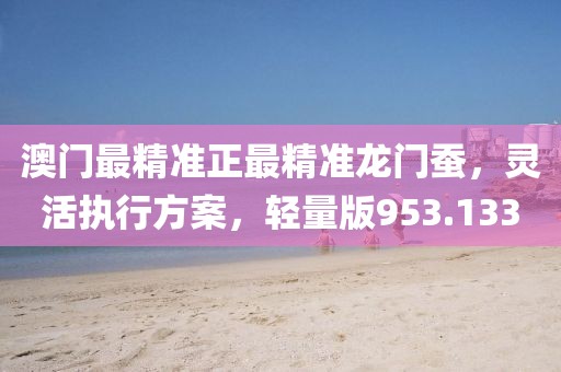 澳门最精准正最精准龙门蚕，灵活执行方案，轻量版953.133