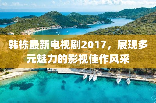 韩栋最新电视剧2017，展现多元魅力的影视佳作风采