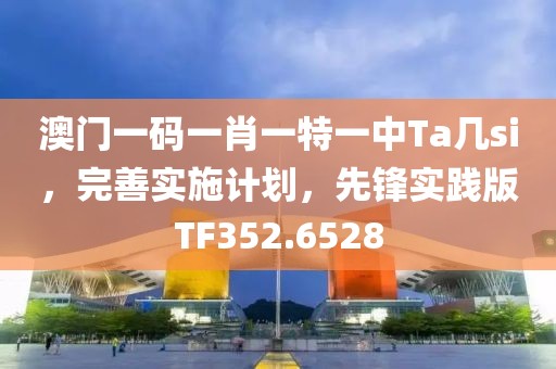 澳门一码一肖一特一中Ta几si，完善实施计划，先锋实践版TF352.6528