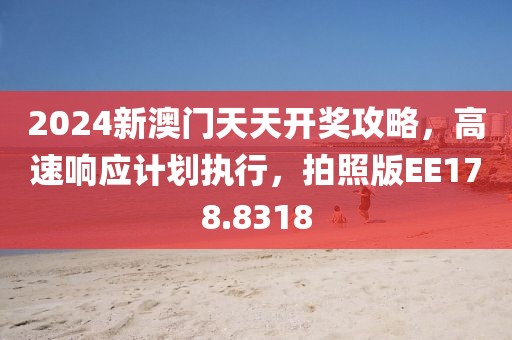 2024新澳门天天开奖攻略，高速响应计划执行，拍照版EE178.8318