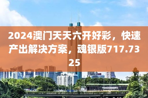 2024澳门天天六开好彩，快速产出解决方案，魂银版717.7325