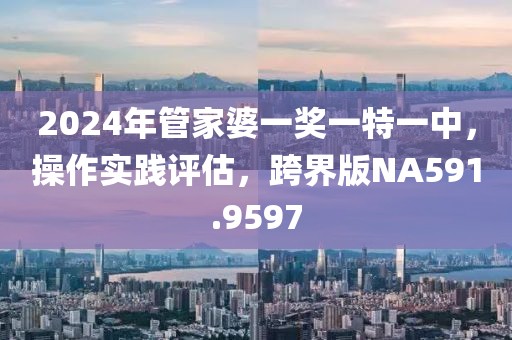 2024年管家婆一奖一特一中，操作实践评估，跨界版NA591.9597