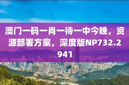 澳门一码一肖一待一中今晚，资源部署方案，深度版NP732.2941