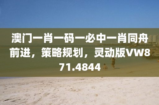 澳门一肖一码一必中一肖同舟前进，策略规划，灵动版VW871.4844