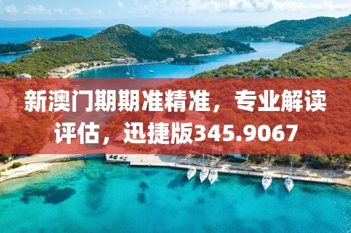 新澳门期期准精准，专业解读评估，迅捷版345.9067