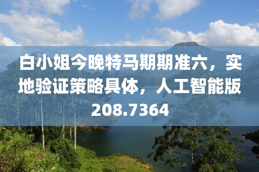 白小姐今晚特马期期准六，实地验证策略具体，人工智能版208.7364