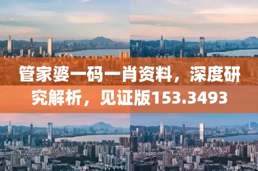 管家婆一码一肖资料，深度研究解析，见证版153.3493