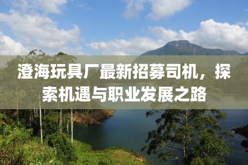 澄海玩具厂最新招募司机，探索机遇与职业发展之路