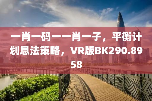 一肖一码一一肖一子，平衡计划息法策略，VR版BK290.8958