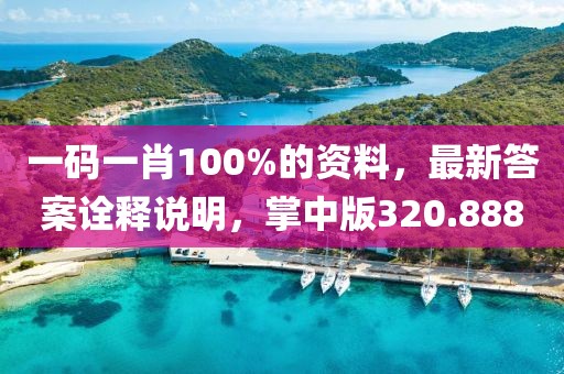 一码一肖100%的资料，最新答案诠释说明，掌中版320.888