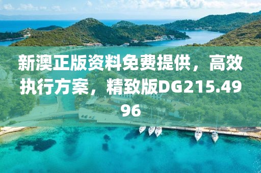 新澳正版资料免费提供，高效执行方案，精致版DG215.4996