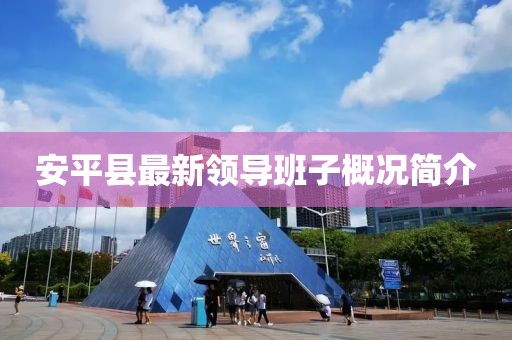 安平县最新领导班子概况简介