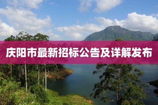 庆阳市最新招标公告及详解发布