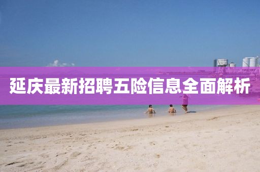 延庆最新招聘五险信息全面解析