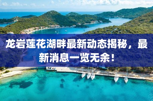龙岩莲花湖畔最新动态揭秘，最新消息一览无余！