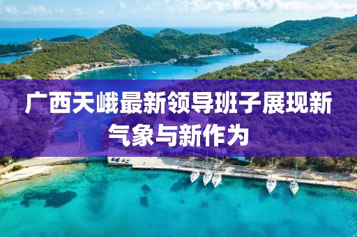 广西天峨最新领导班子展现新气象与新作为