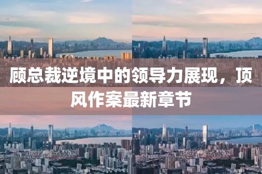 顾总裁逆境中的领导力展现，顶风作案最新章节