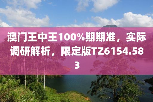 澳门王中王100%期期准，实际调研解析，限定版TZ6154.583