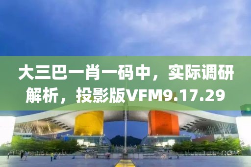 大三巴一肖一码中，实际调研解析，投影版VFM9.17.29