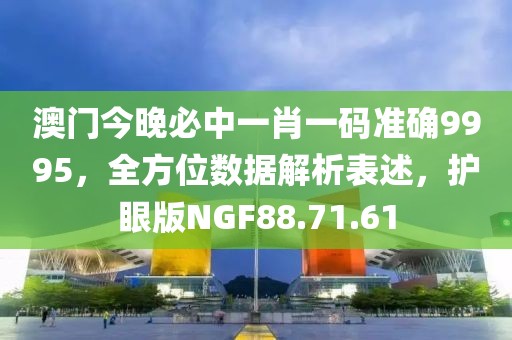 澳门今晚必中一肖一码准确9995，全方位数据解析表述，护眼版NGF88.71.61