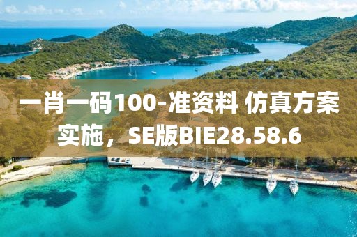一肖一码100-准资料 仿真方案实施，SE版BIE28.58.6