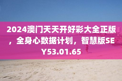 2024澳门天天开好彩大全正版，全身心数据计划，智慧版SEY53.01.65