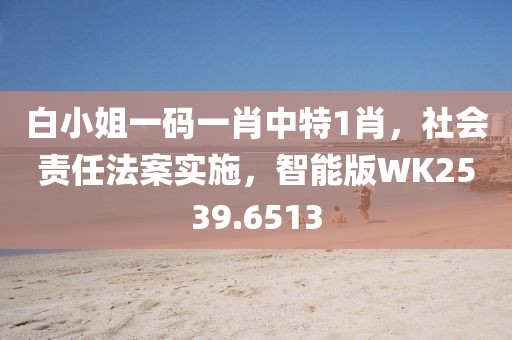 白小姐一码一肖中特1肖，社会责任法案实施，智能版WK2539.6513