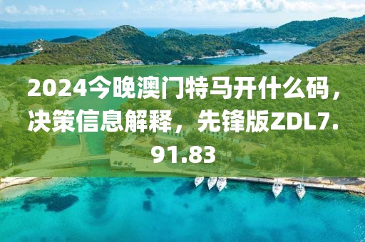 2024今晚澳门特马开什么码，决策信息解释，先锋版ZDL7.91.83