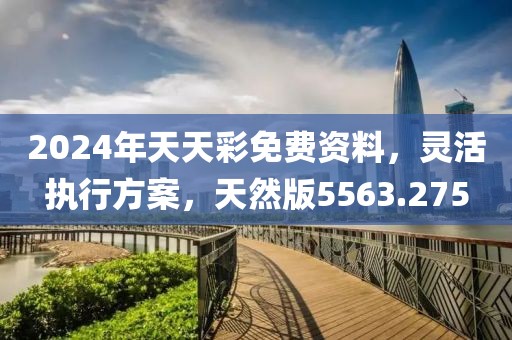 2024年天天彩免费资料，灵活执行方案，天然版5563.275