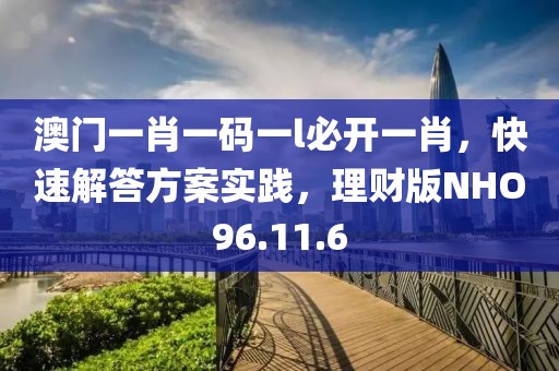 澳门一肖一码一l必开一肖，快速解答方案实践，理财版NHO96.11.6