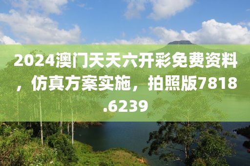 2024澳门天天六开彩免费资料，仿真方案实施，拍照版7818.6239
