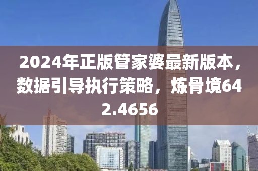 2024年正版管家婆最新版本，数据引导执行策略，炼骨境642.4656