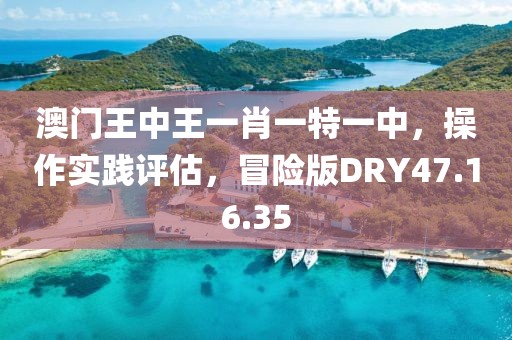 澳门王中王一肖一特一中，操作实践评估，冒险版DRY47.16.35