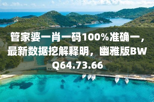 管家婆一肖一码100%准确一，最新数据挖解释明，幽雅版BWQ64.73.66