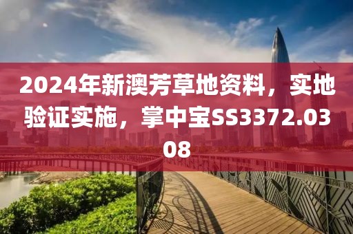 2024年新澳芳草地资料，实地验证实施，掌中宝SS3372.0308