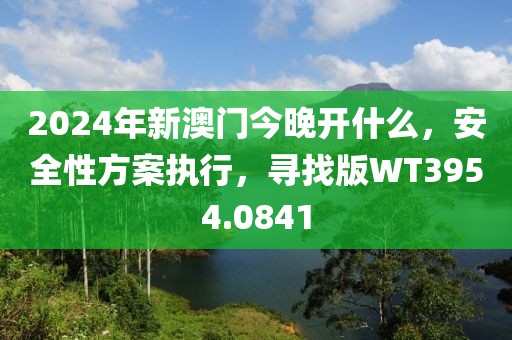 2024年新澳门今晚开什么，安全性方案执行，寻找版WT3954.0841