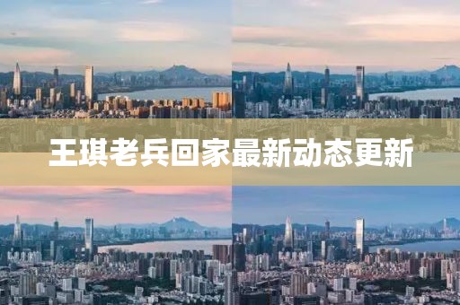 王琪老兵回家最新动态更新