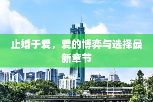 止婚于爱，爱的博弈与选择最新章节