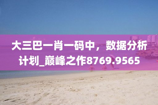 大三巴一肖一码中，数据分析计划_巅峰之作8769.9565