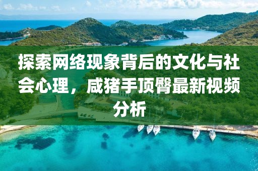 探索网络现象背后的文化与社会心理，咸猪手顶臀最新视频分析