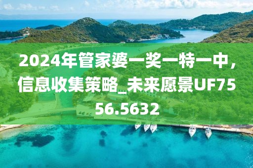 2024年管家婆一奖一特一中，信息收集策略_未来愿景UF7556.5632