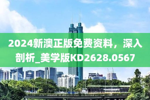 2024新澳正版免费资料，深入剖析_美学版KD2628.0567