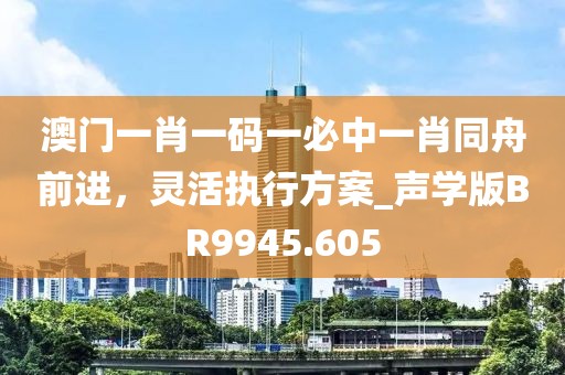 澳门一肖一码一必中一肖同舟前进，灵活执行方案_声学版BR9945.605
