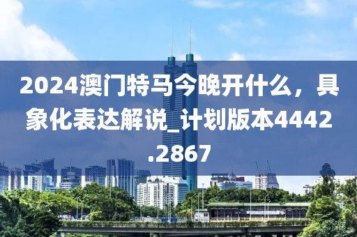 2024澳门特马今晚开什么，具象化表达解说_计划版本4442.2867