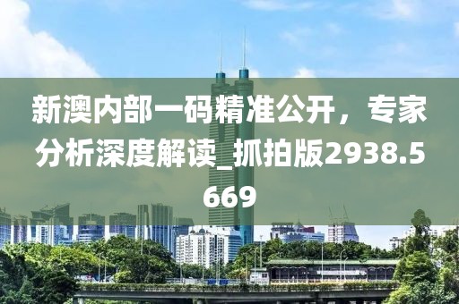 新澳内部一码精准公开，专家分析深度解读_抓拍版2938.5669