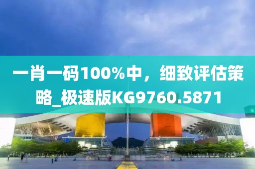 一肖一码100%中，细致评估策略_极速版KG9760.5871