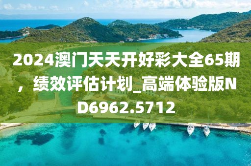 2024澳门天天开好彩大全65期，绩效评估计划_高端体验版ND6962.5712