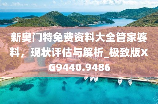 新奥门特免费资料大全管家婆料，现状评估与解析_极致版XG9440.9486