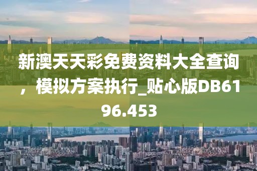 新澳天天彩免费资料大全查询，模拟方案执行_贴心版DB6196.453