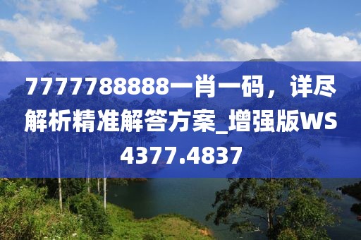 7777788888一肖一码，详尽解析精准解答方案_增强版WS4377.4837